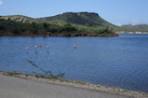 Die Insel der Flamingos