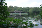 Bezaubernde Gärten am Westsee in Hangzhou