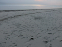 Abend am Strand