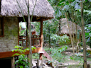 Im Barefoot at Havelock Resort