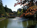 Herbst auf dem Koyasan