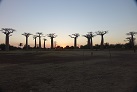 Sonnenuntergang an der Baobab-Allee
