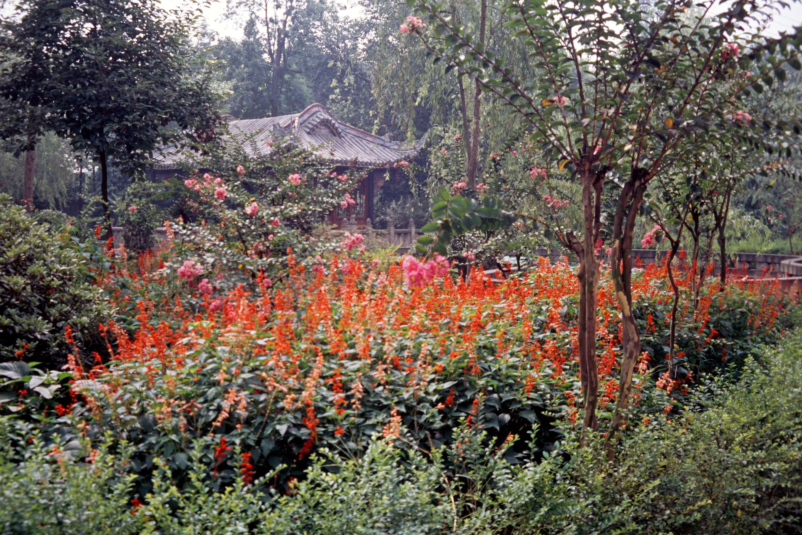 Bao Guang–Tempel