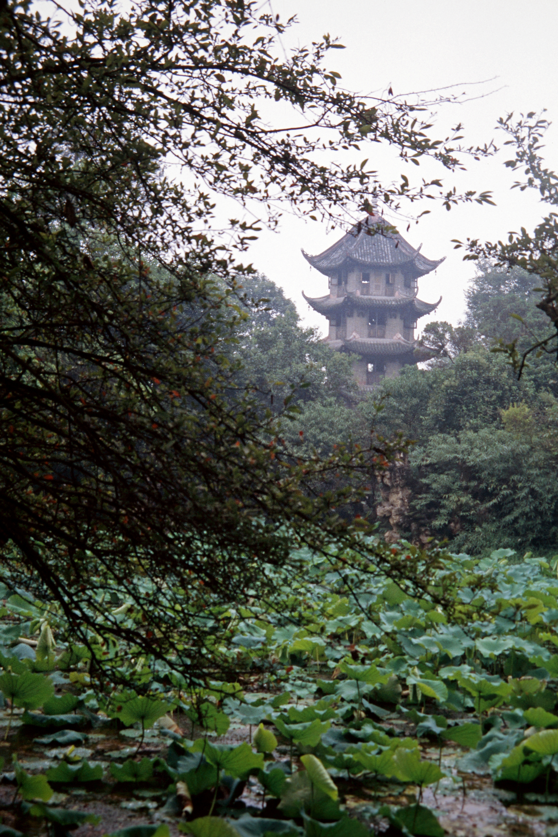 Du Fu Cao Tang (Schilfhütte des Dichters Du Fu)