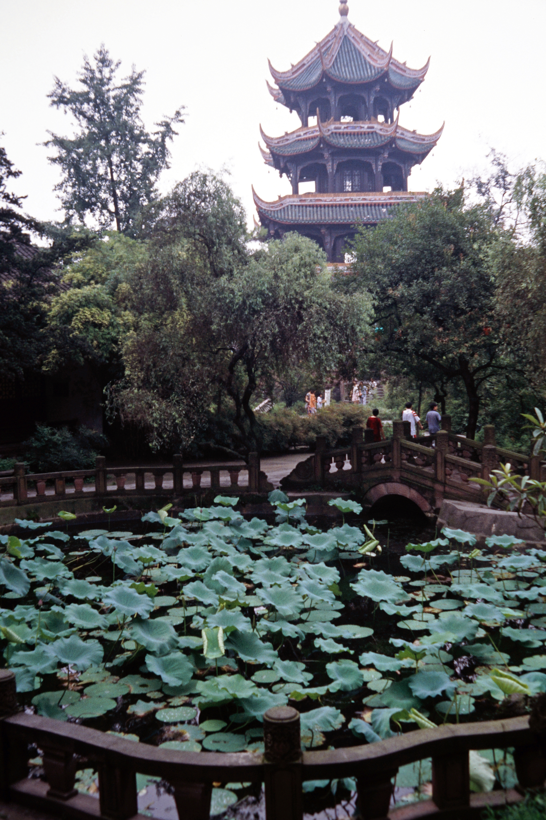 Wang Jiang–Pavillon