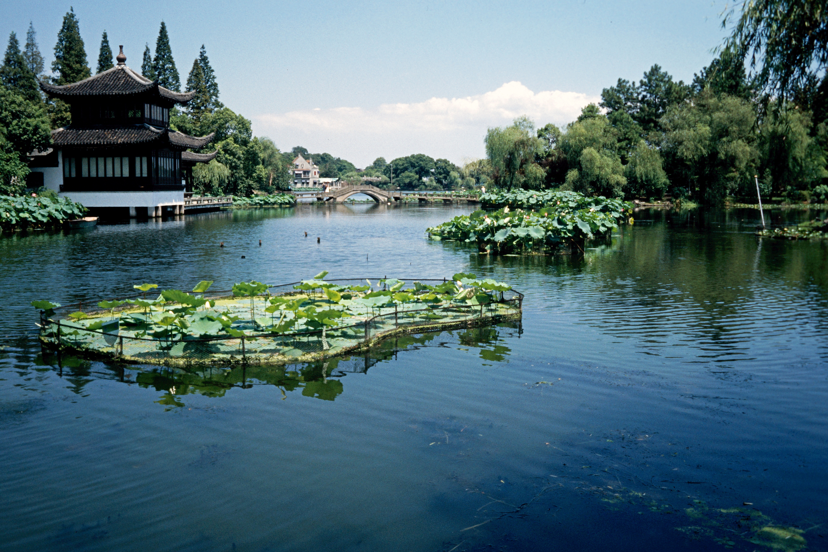 Am Westsee–Qu Yuan (Lotosgarten)