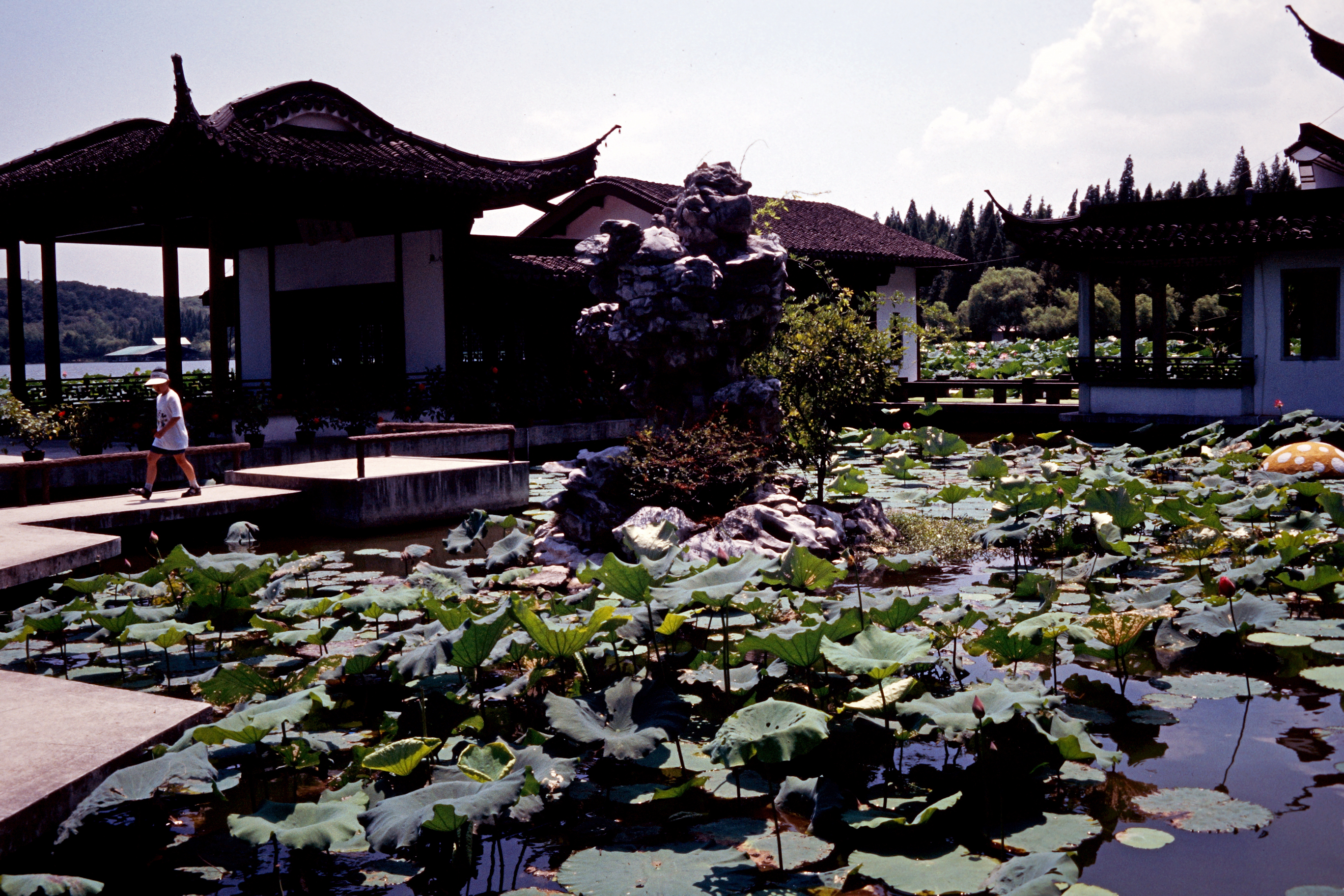 Am Westsee–Qu Yuan (Lotosgarten)