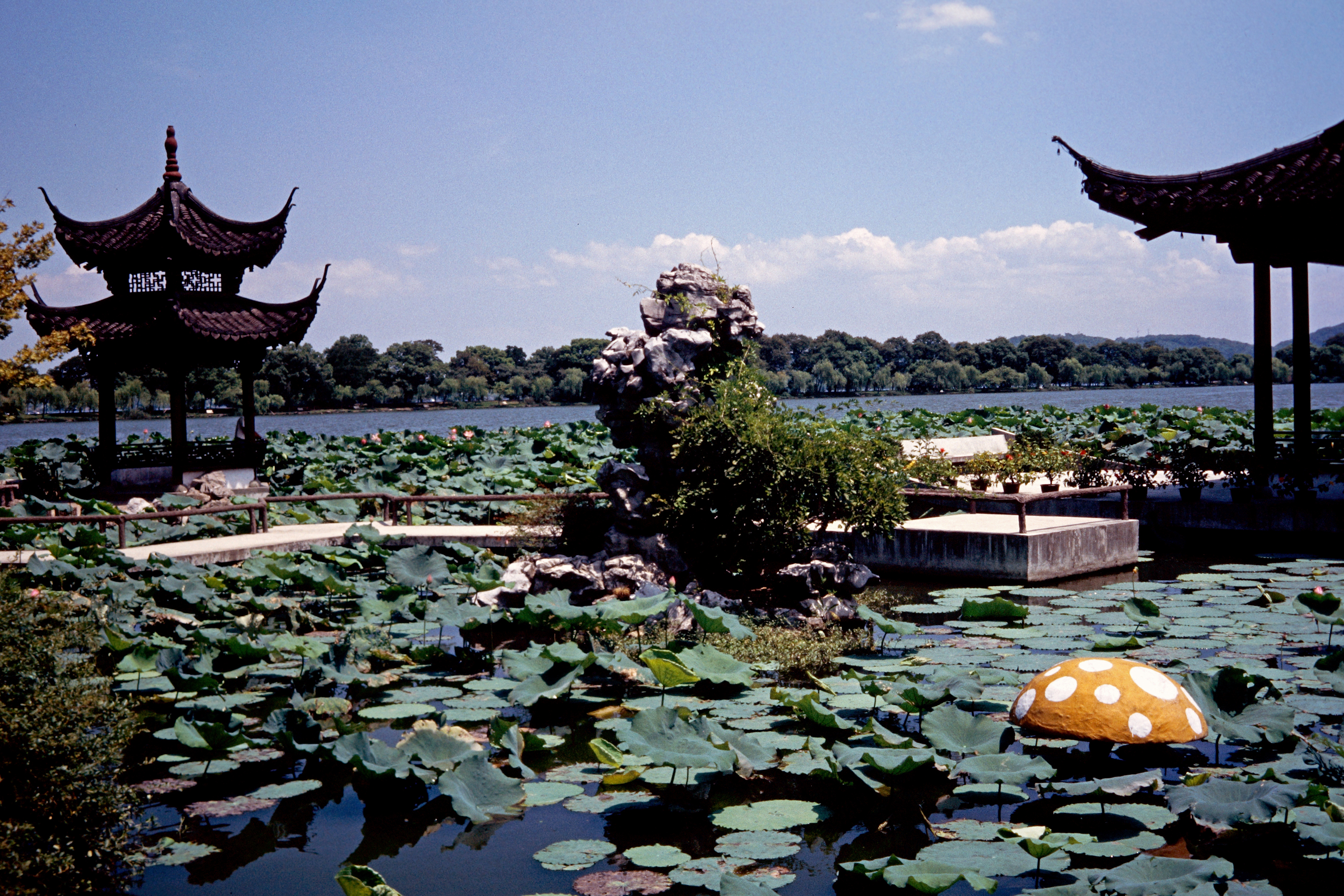 Am Westsee–Qu Yuan (Lotosgarten)