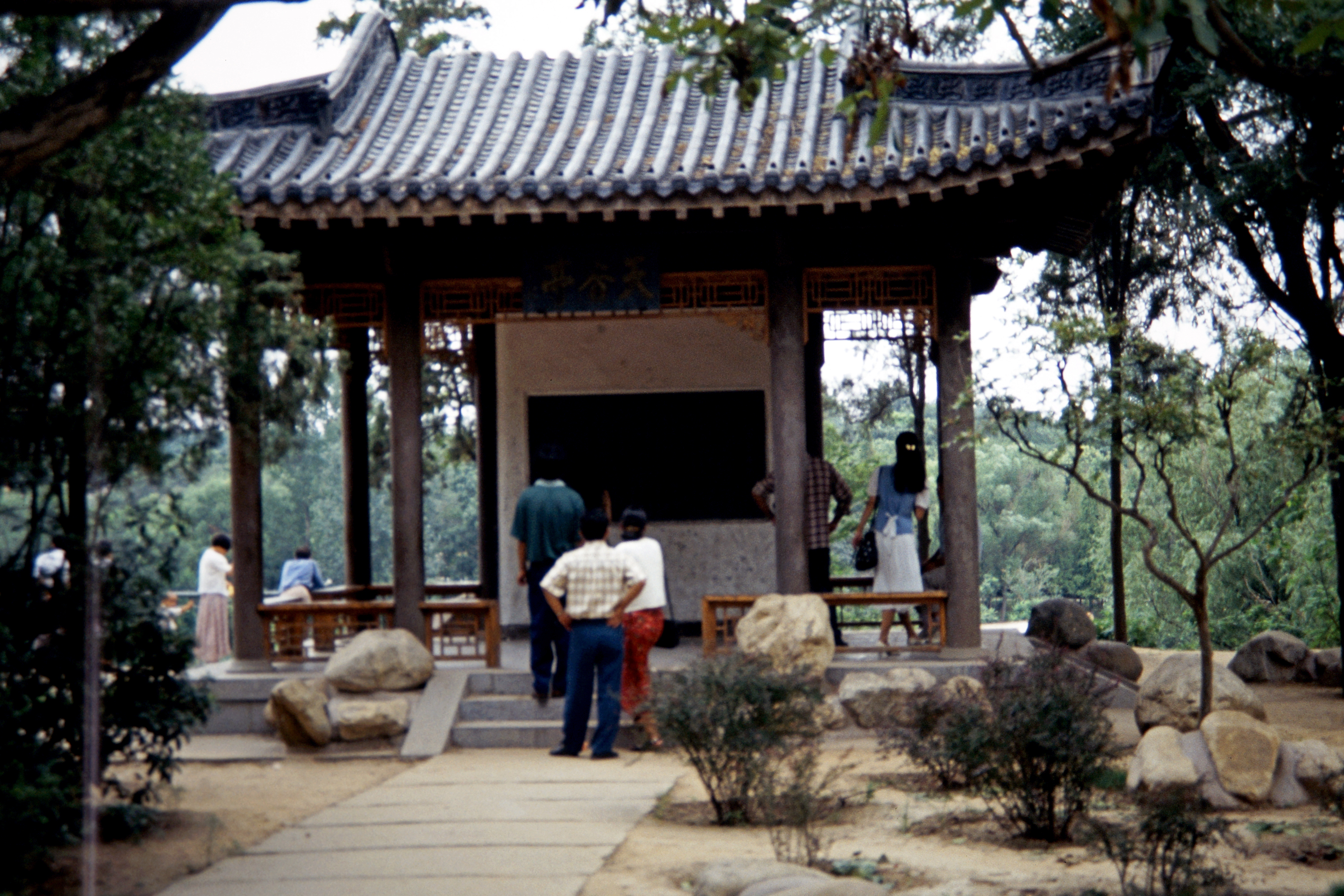 Wang Cheng–Park