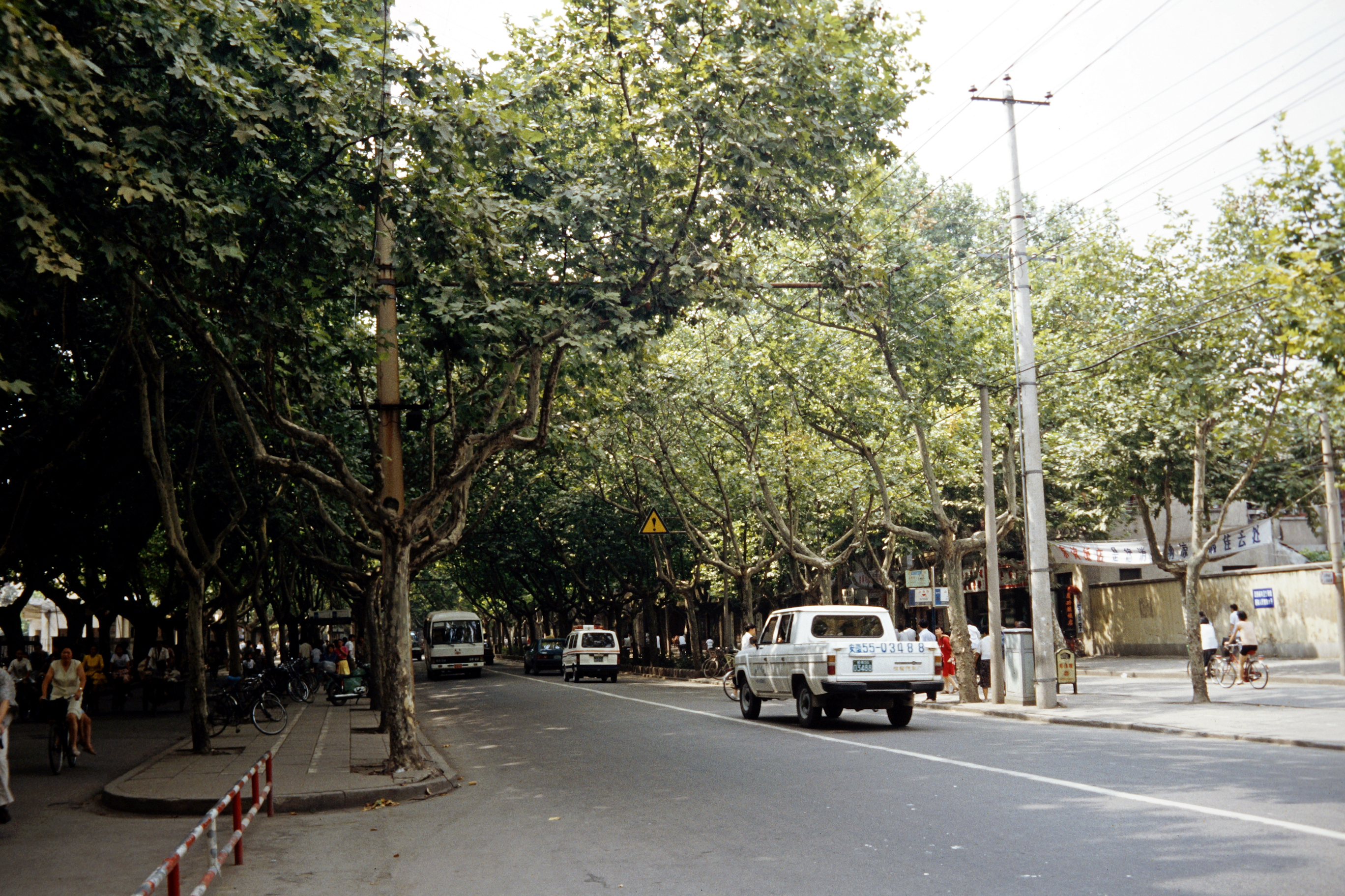 Eine der typischen Alleestraßen in Nanjing