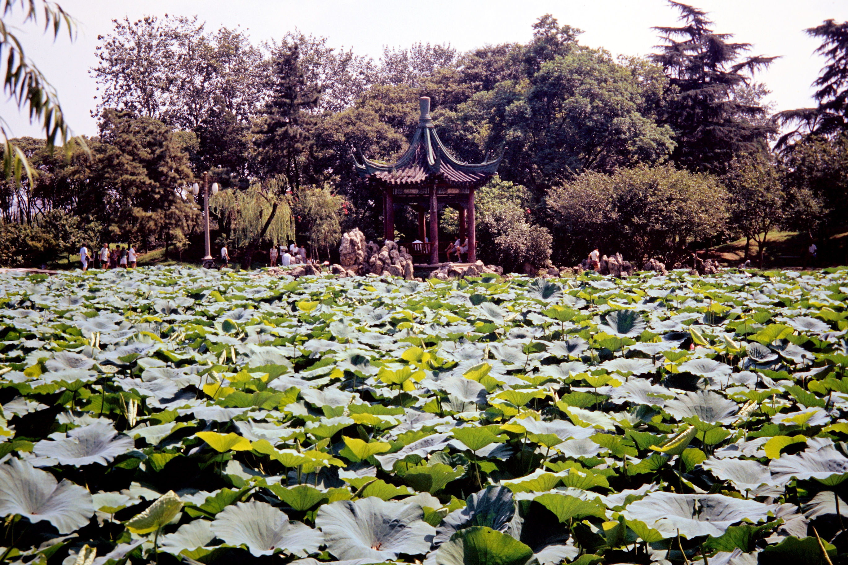 Park der Dame Mo Chou ("Sorgenfrei")