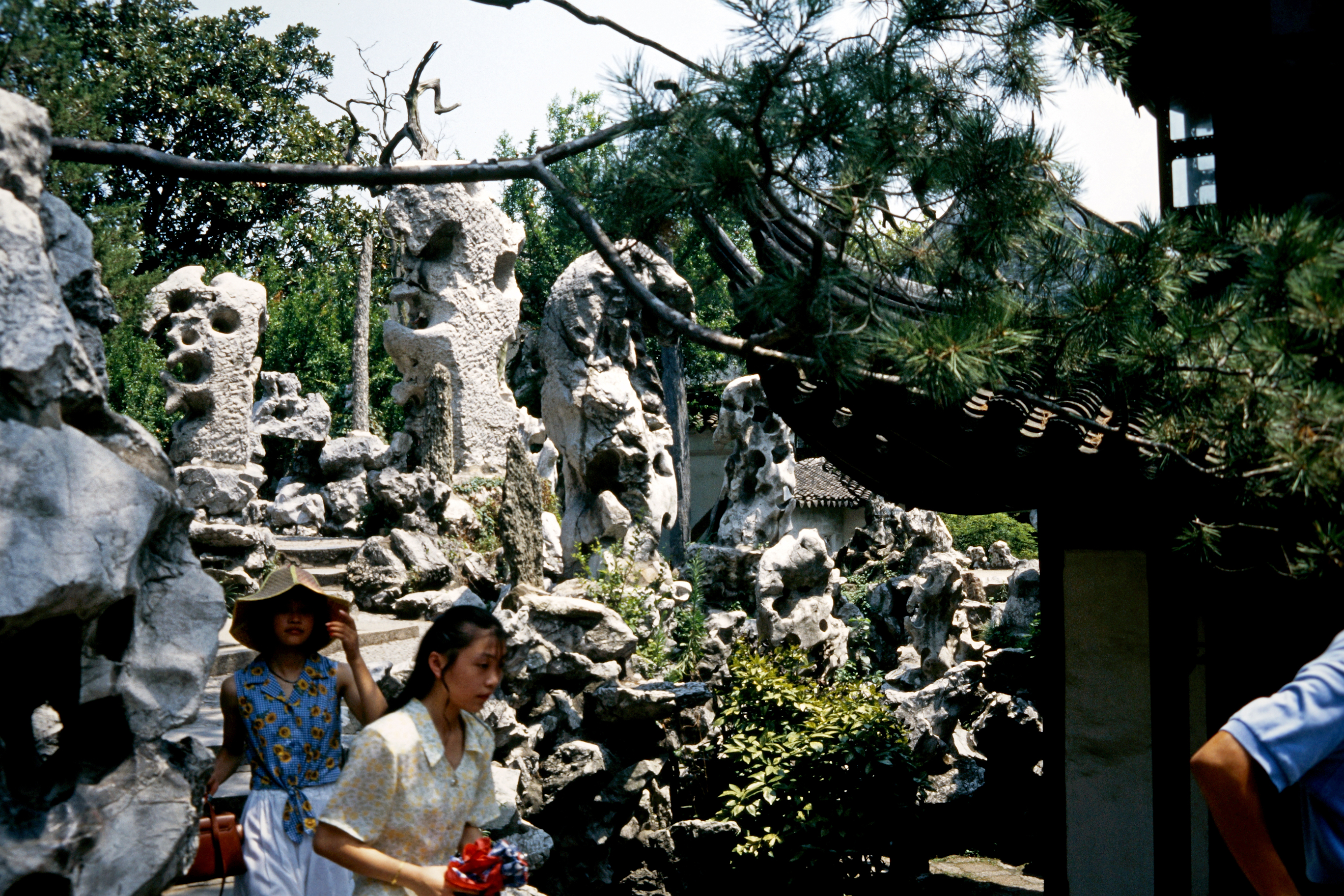 Shi Zi Lin (Löwenhain-Park)