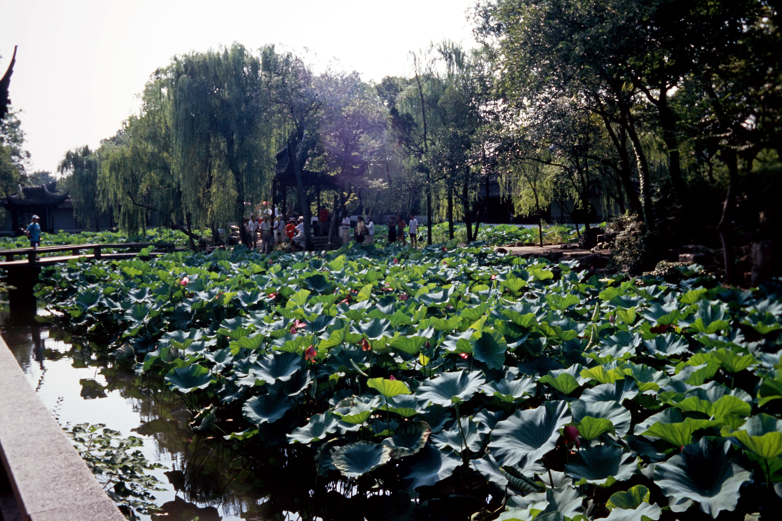 Zhou Zheng Yuan (Garten des bescheidenen Beamten)