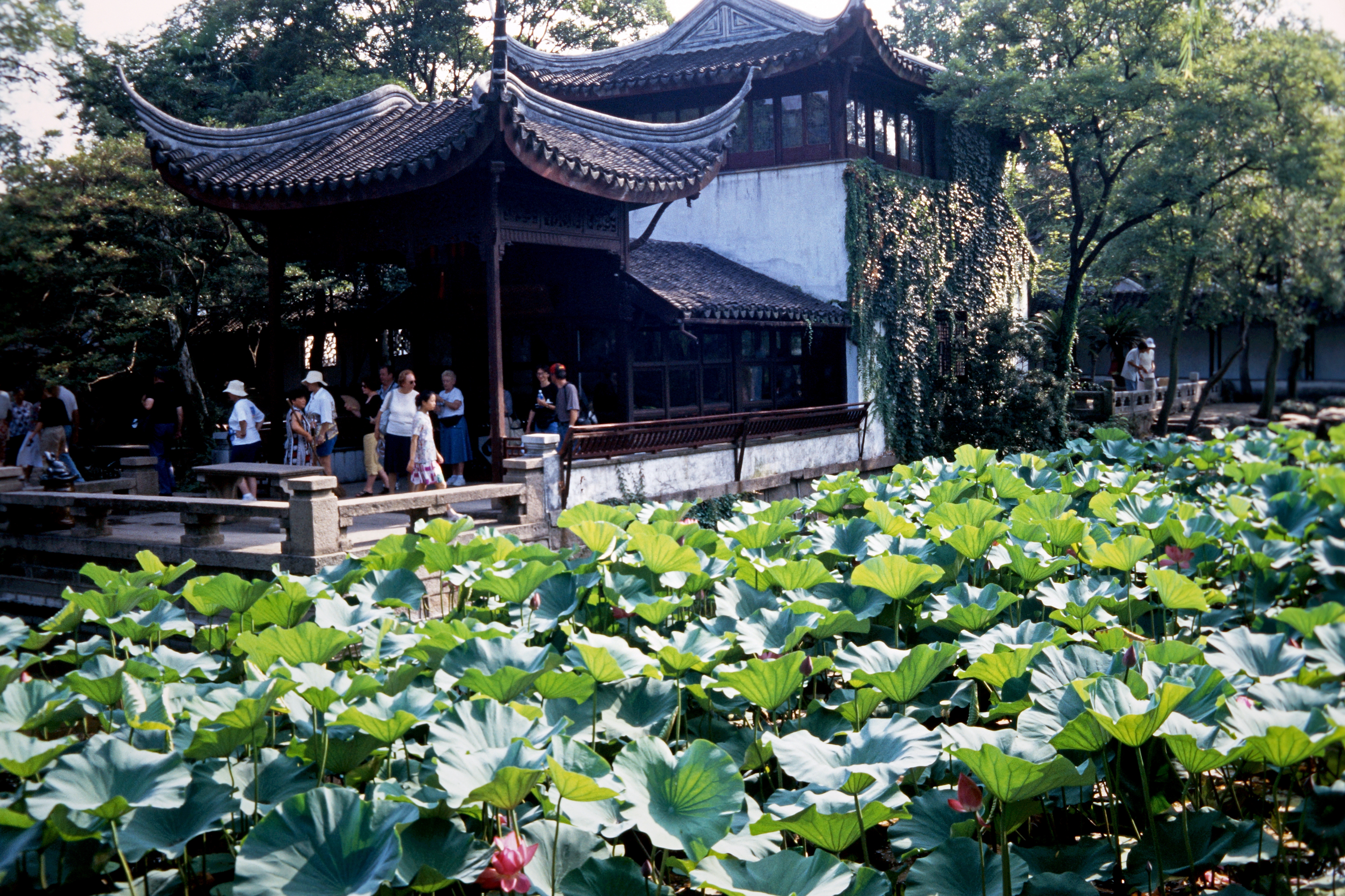 Zhou Zheng Yuan (Garten des bescheidenen Beamten)