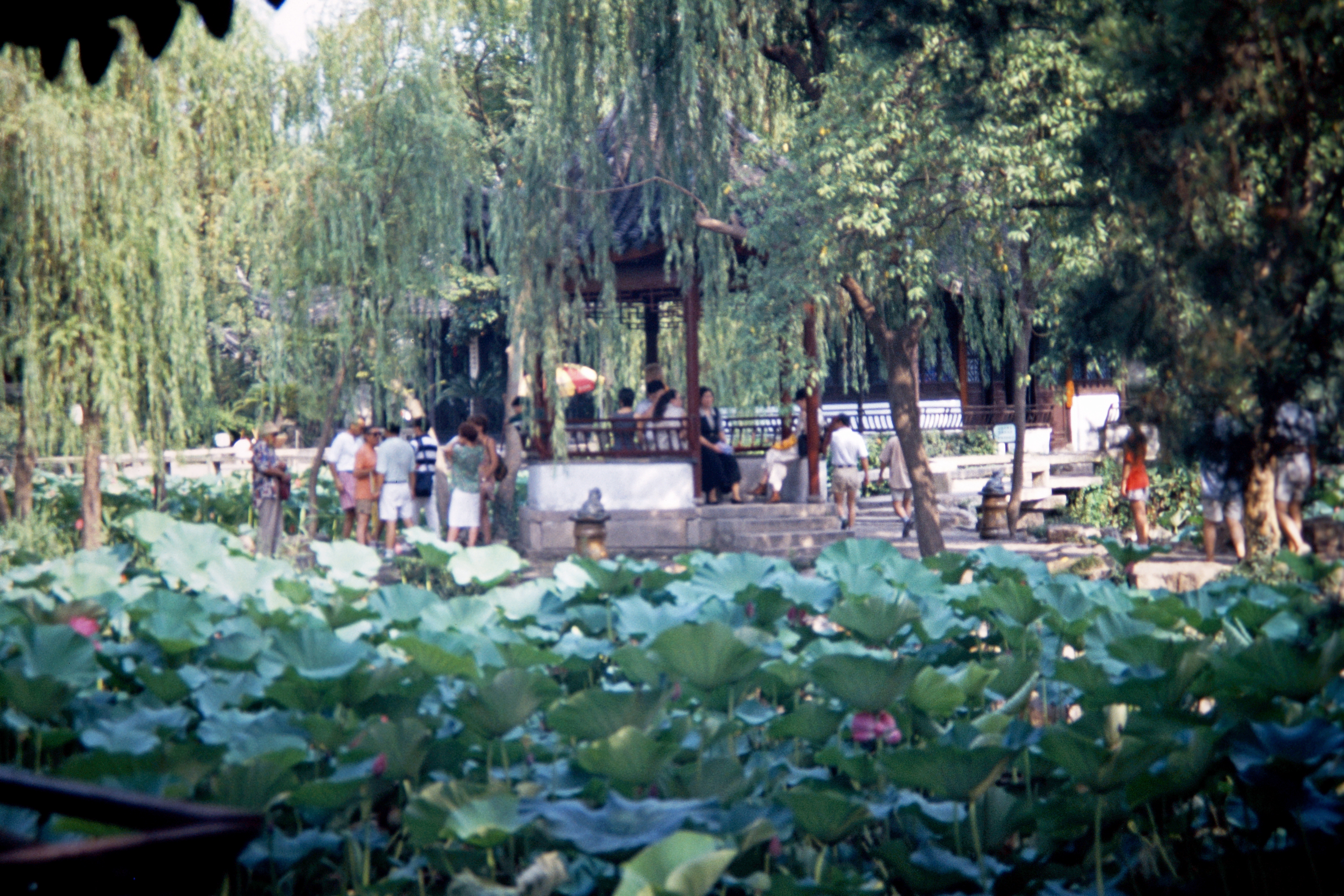 Zhou Zheng Yuan (Garten des bescheidenen Beamten)