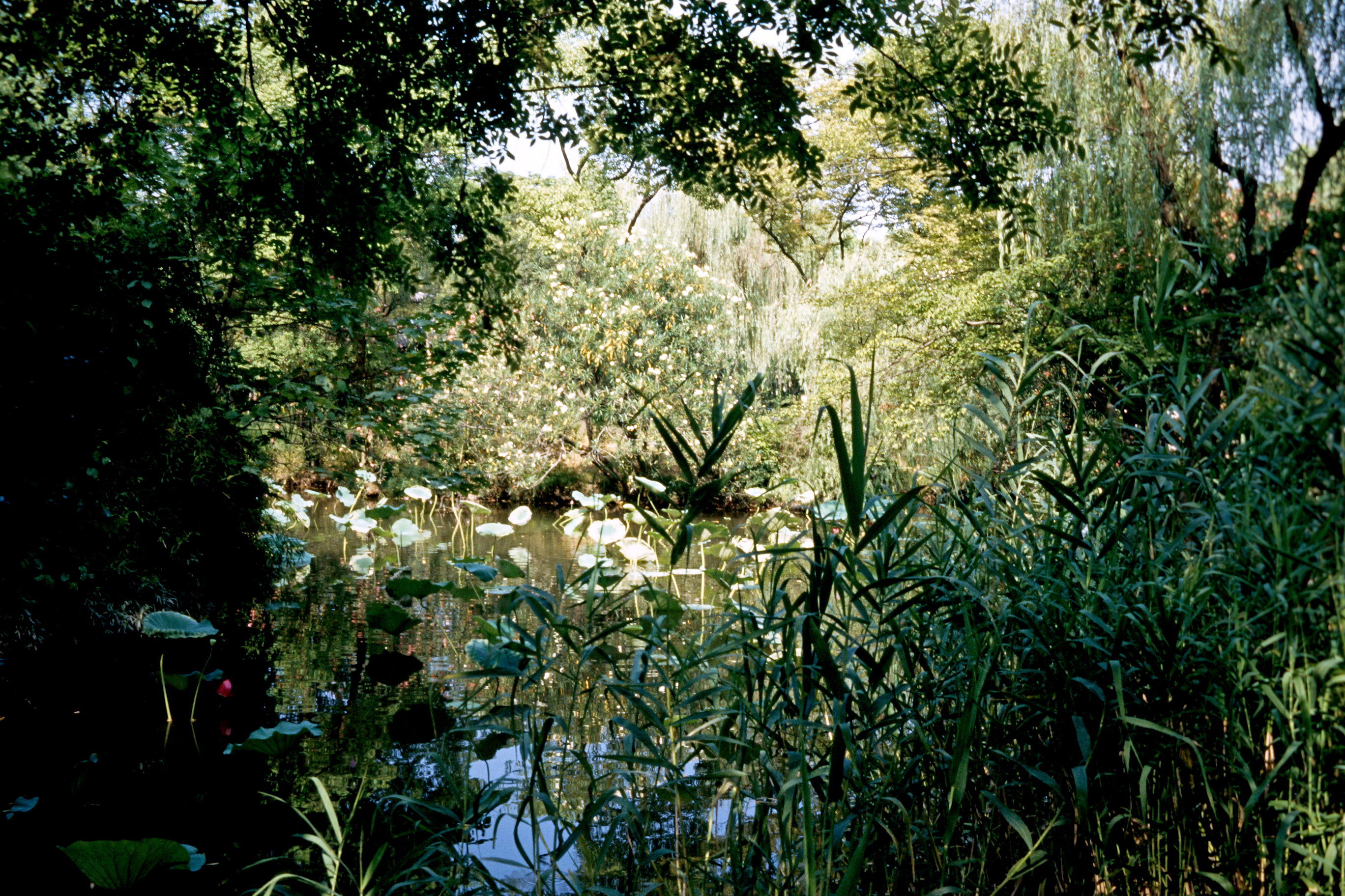 Zhou Zheng Yuan (Garten des bescheidenen Beamten)