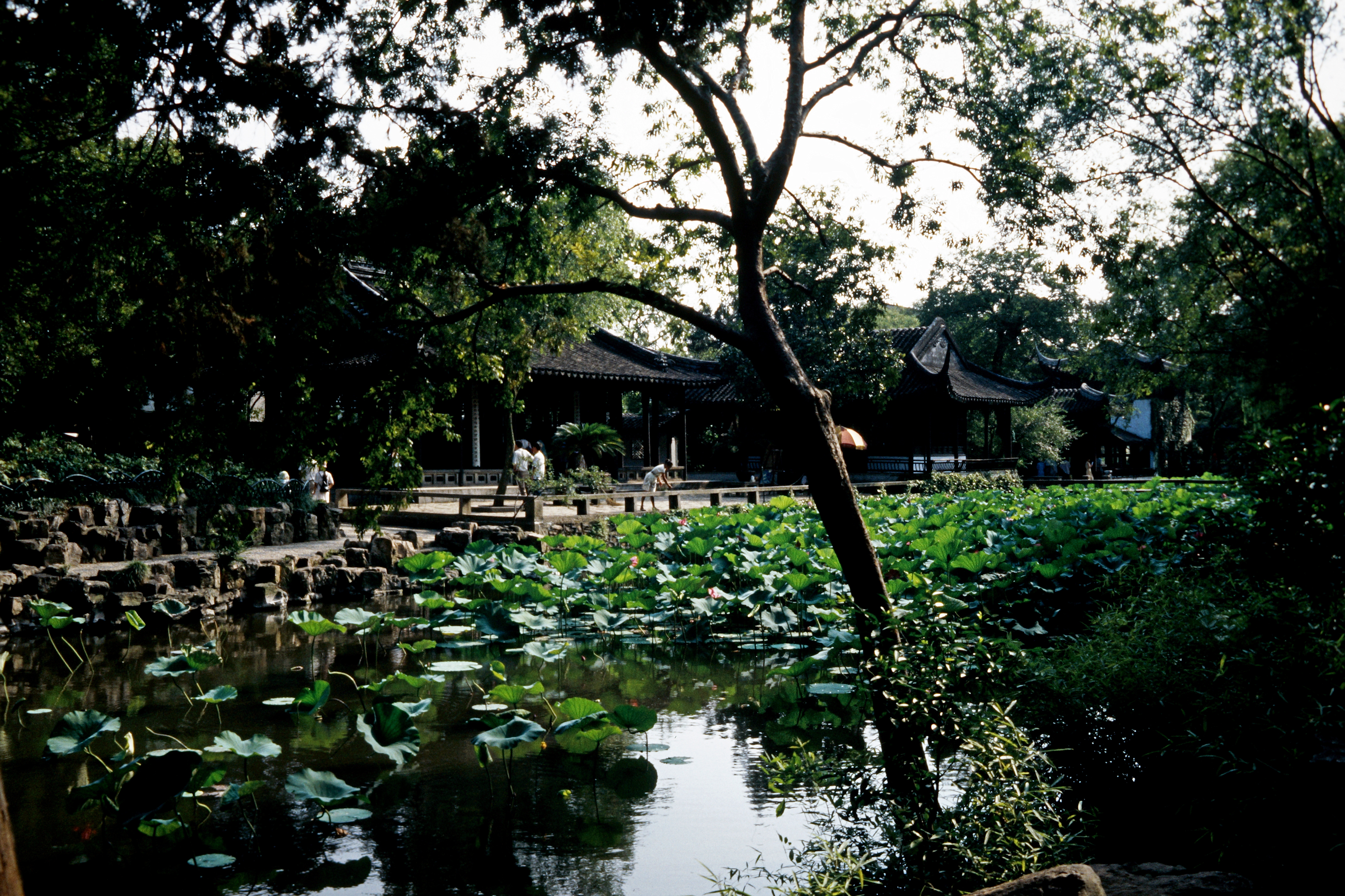 Zhou Zheng Yuan (Garten des bescheidenen Beamten)