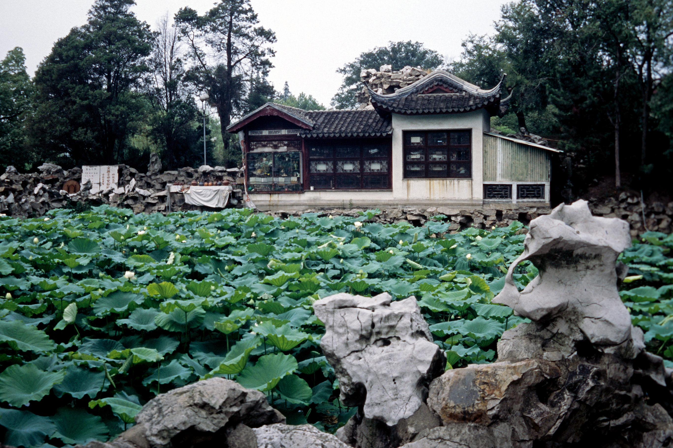 Li Yuan