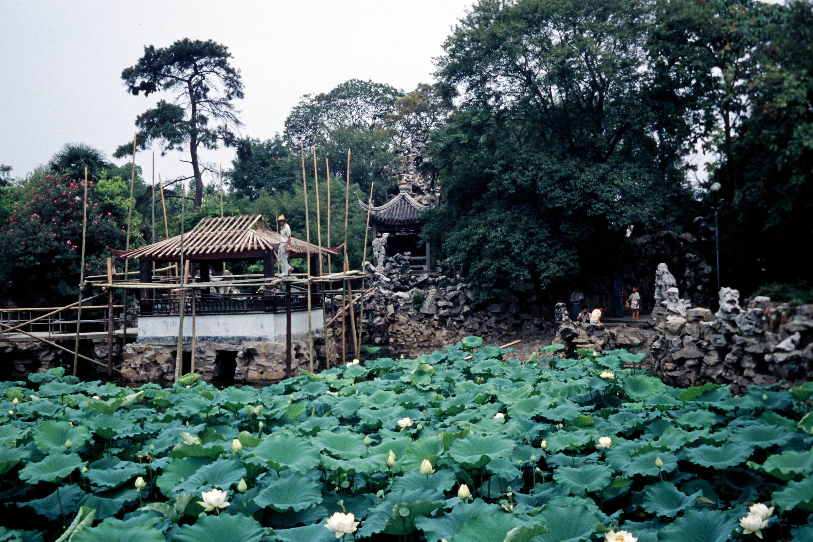 Li Yuan