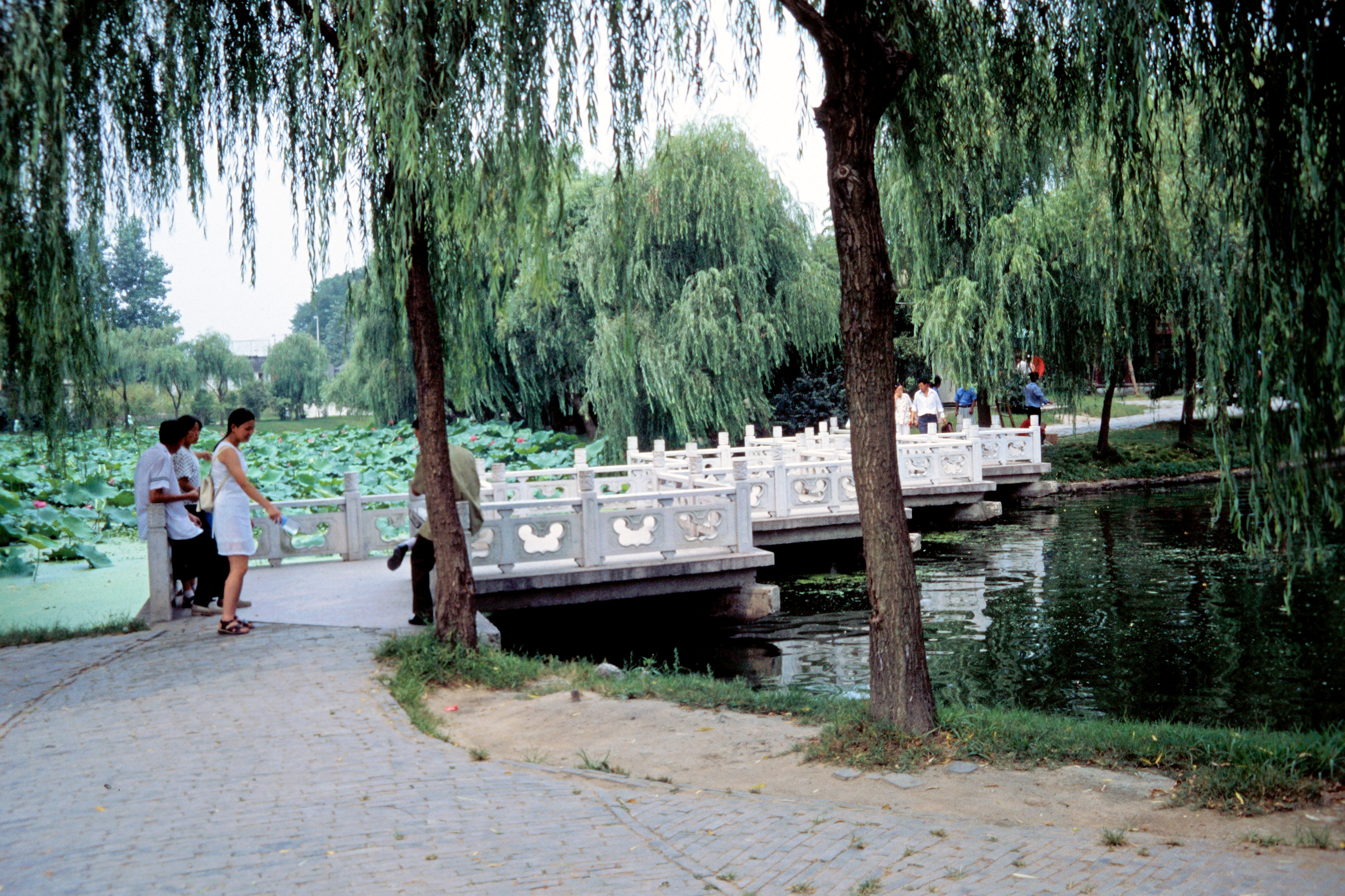 Am schmalen Westsee