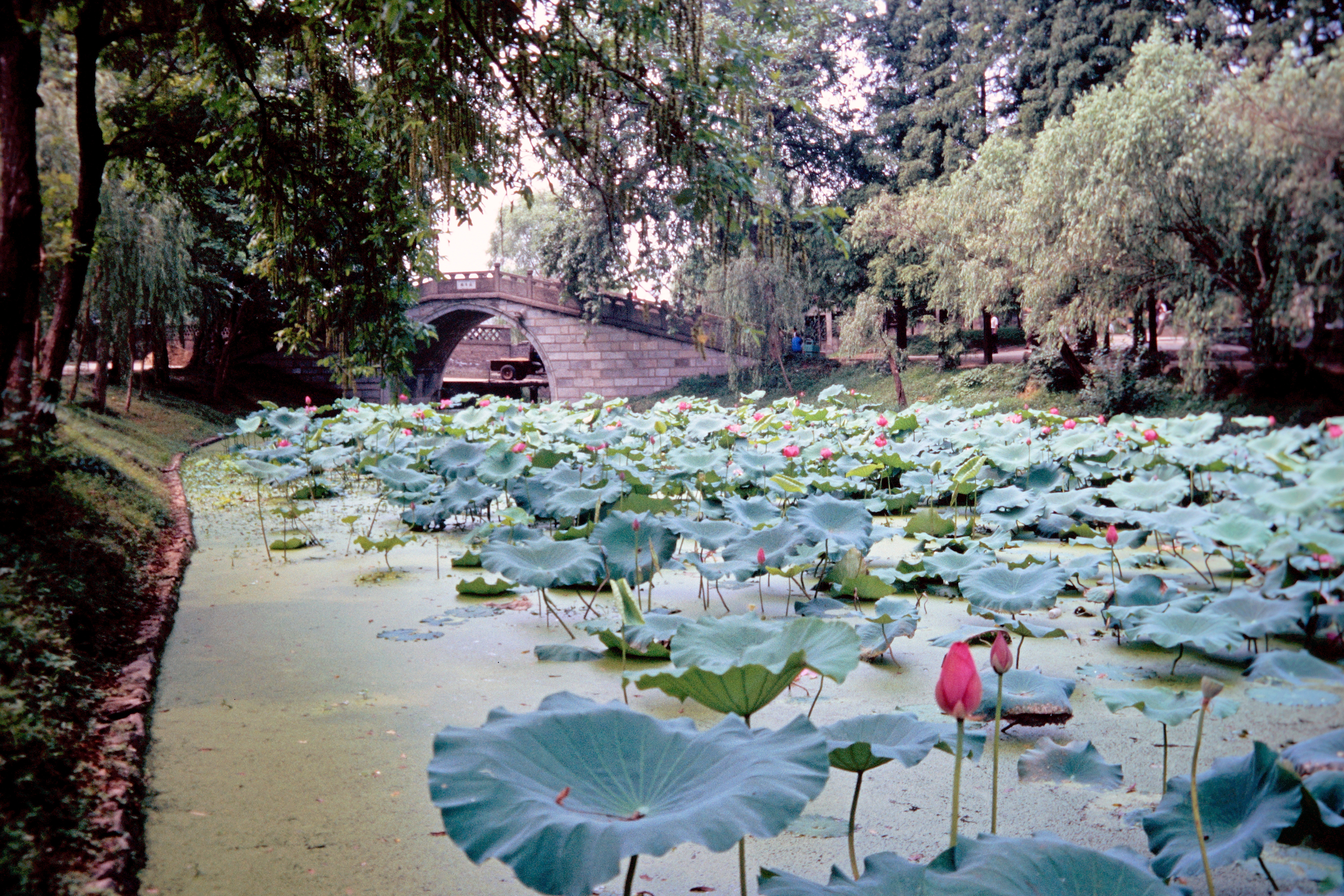 Am schmalen Westsee