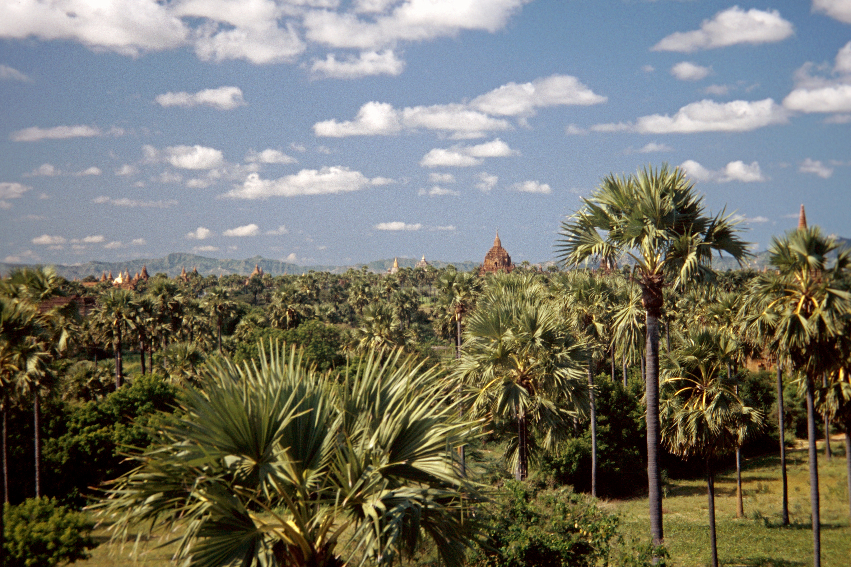 Landschaft in Bagan