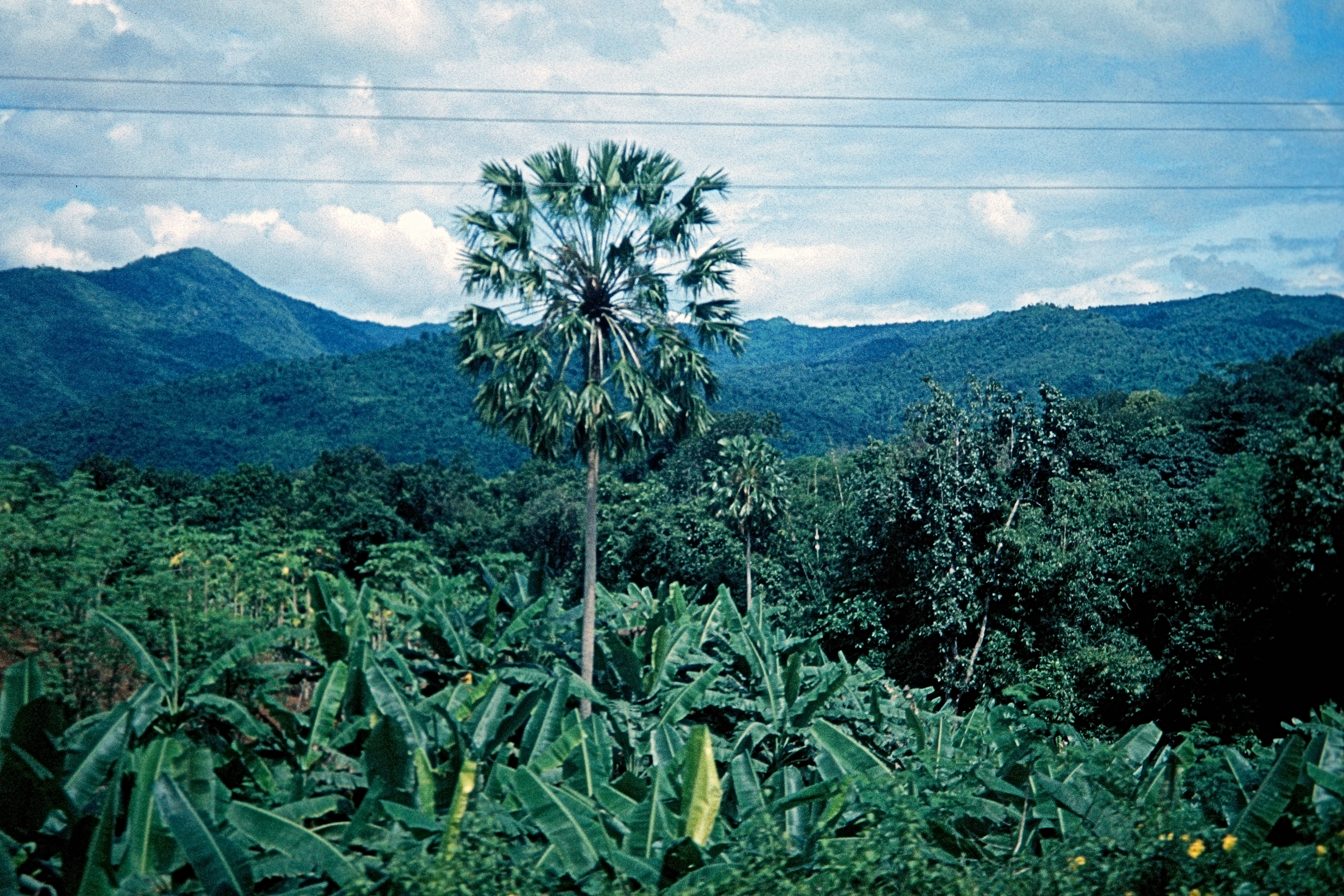 Landschaft im Mon–Staat