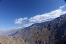 Kondor über dem Colca–Cañon