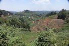 Gebirgslandschaft im Dreiläendereck Uganda-Ruanda-Kongo